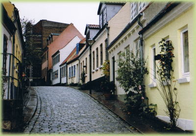 �����J�̏���