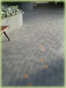 �_�X�Ƒ������i�H�j�̑���