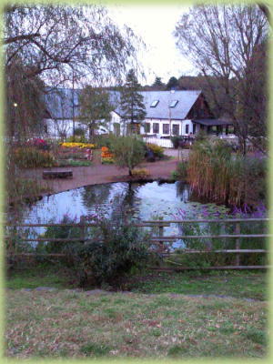 �ԂƗ΂Ɛ��̕��i