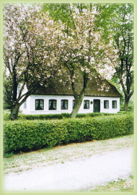 �t�������ɂ���j�[���Z�����N����̉�