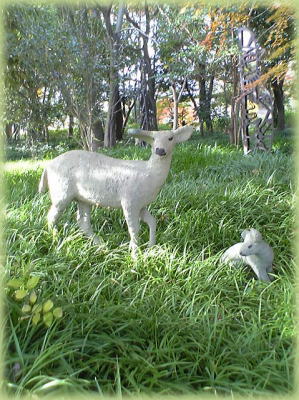 �V�J�̐e�q��