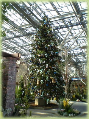 ���؂ȃN���X�}�X�c���[