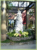 ���c���[