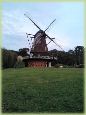 �u�����w���̋u�v�̃V���{���A�f���}�[�N�̕��Ђ�����